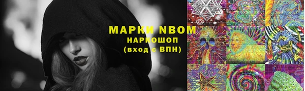 PSILOCYBIN Гусь-Хрустальный