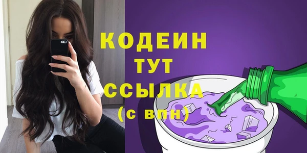 PSILOCYBIN Гусь-Хрустальный