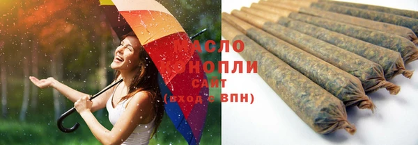 гашик Гусев