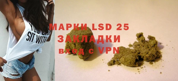 PSILOCYBIN Гусь-Хрустальный