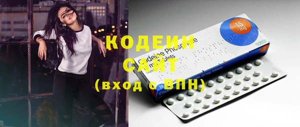 гашик Гусев