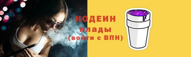 гашик Гусев