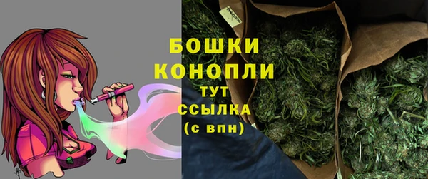 гашик Гусев