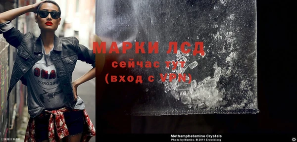 гашик Гусев