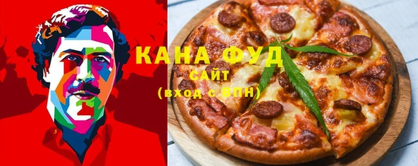 гашик Гусев