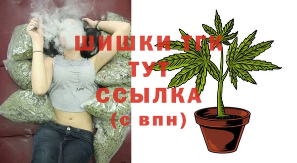 PSILOCYBIN Гусь-Хрустальный