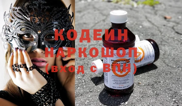 гашик Гусев