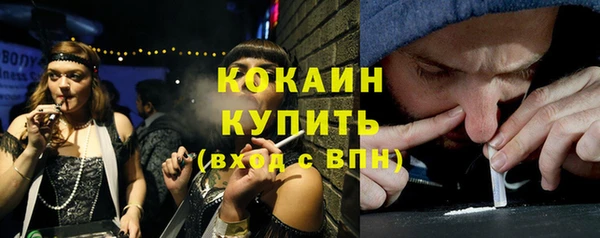 PSILOCYBIN Гусь-Хрустальный