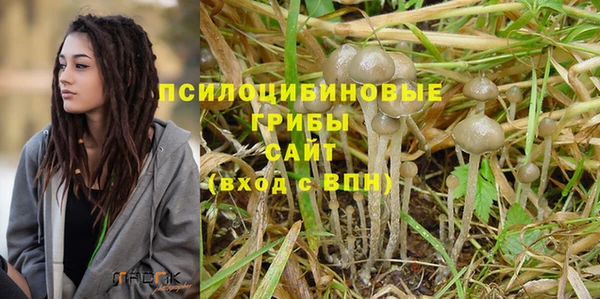 PSILOCYBIN Гусь-Хрустальный