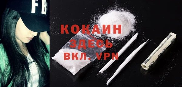 гашик Гусев