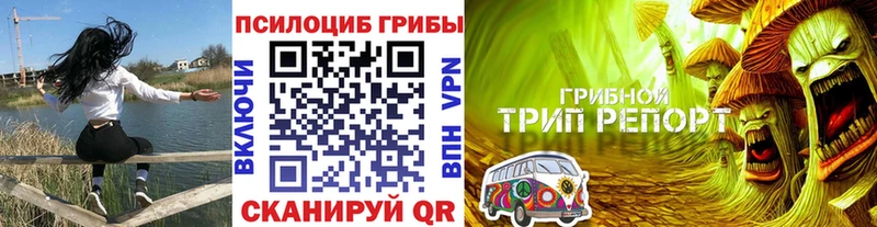 Псилоцибиновые грибы мухоморы  купить закладку  Тейково 